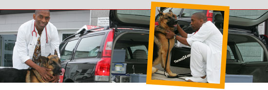 Tierarztpraxis dr. Specht - Hamburg Harvestehude: Schäferhund